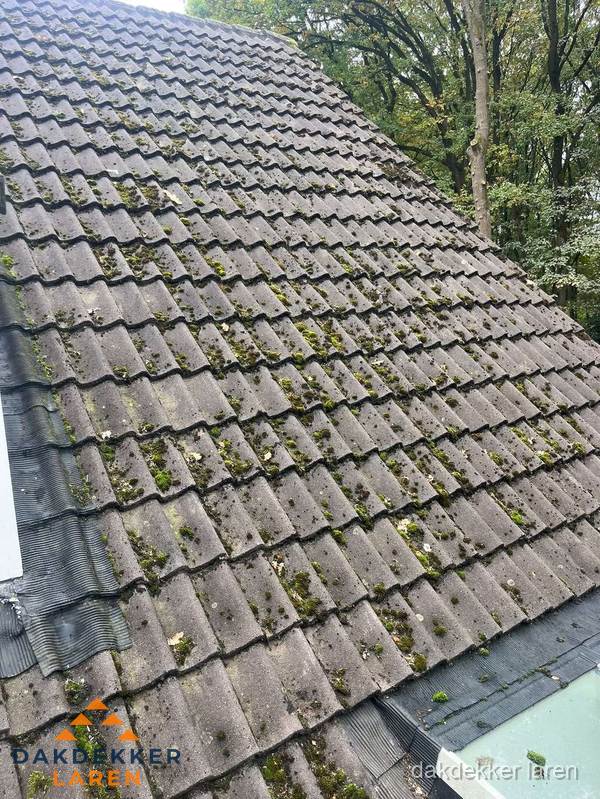 Verweerd pannendak met mosgroei dat renovatie nodig heeft in Laren