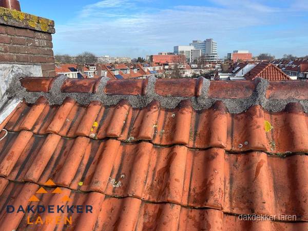 Pannendak met nokvorst en schoorsteen, dakrenovatie in Laren Pannendak met nokvorst en schoorsteen, dakrenovatie in Laren